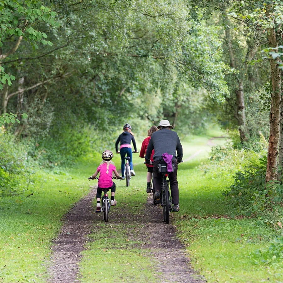 Family riding their bikes in the woods