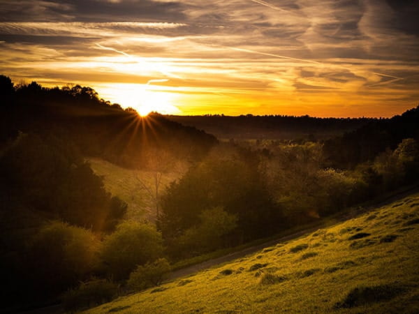 Box Hill cycling