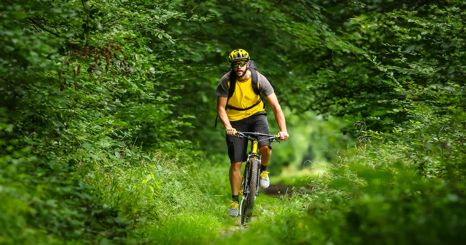 A Guide to BMX | BMX Biking | cycleGuard